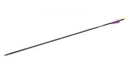 Šíp Carbon Wraith 30"