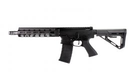 Airsoft AR15 (APS Falkor Defense Blitz)