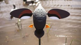 Balabán MOJO Gadwall - Kachna Kopřivka