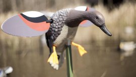 Balabán MOJO Gadwall - Kachna Kopřivka