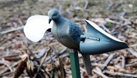 Balabán MOJO Wind Dove - Větrná Holubice