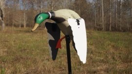 Balabán MOJO Super Mallard – Divoký Kačer
