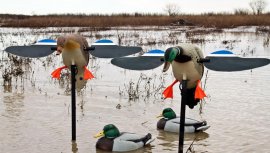 Balabán MOJO Mallard Hen - Divoká Kachna