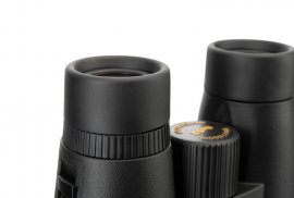 image 2.jpg