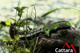 Cattara Jungle 05.jpg