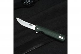 Ganzo Firebird 06.jpg
