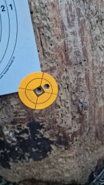 Recenze: H&N Heavy Slug 6.35mm/.250 2.72g/42gr - 1