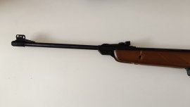 v-scout (3).jpg
