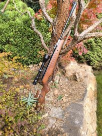 Recenze: Vzduchovka Cometa Fenix 400 Star 6,35mm - 27J - 1