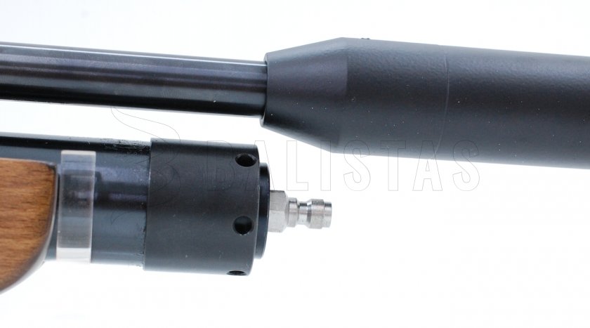Cometa Orion SPR 5,5mm