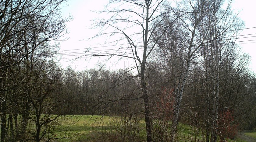 Fotopast Forestcam Tiny