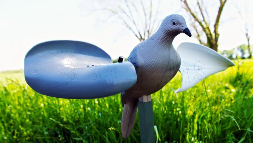 Balabán MOJO Wind Dove - Větrná Holubice