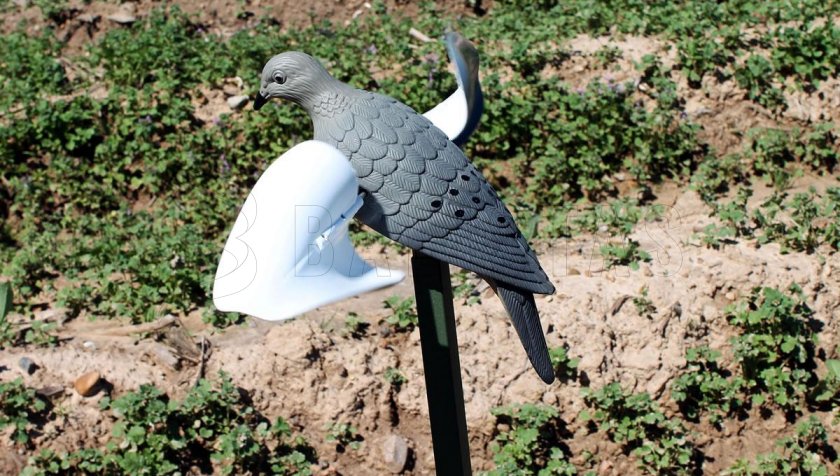 Balabán MOJO Wind Dove - Větrná Holubice
