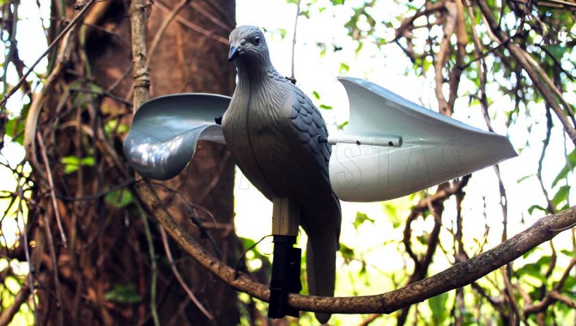 Balabán MOJO Wind Dove - Větrná Holubice