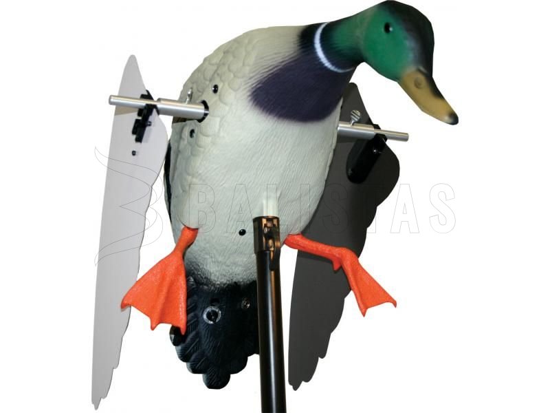 Balabán MOJO Super Mallard – Divoký Kačer