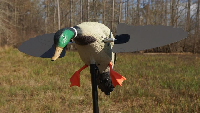 Balabán MOJO Super Mallard – Divoký Kačer