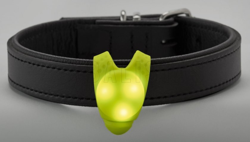 Svítící LED přívěšek na obojek Hunter