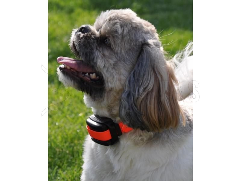 Obojek Dogtrace d-control professional 2000 mini orange