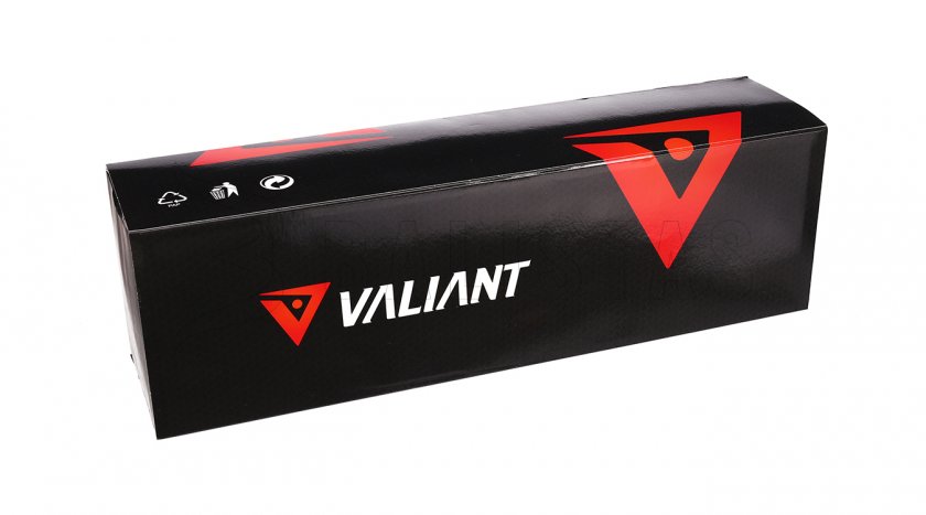 Valiant Themys 3-9x40 AO HFT 12