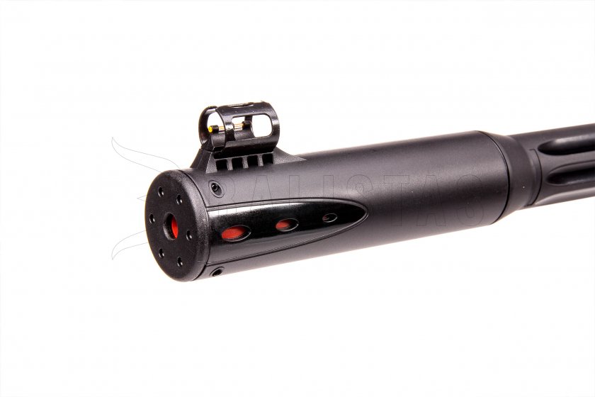 Gamo Roadster IGT 10X GEN2 5,5mm
