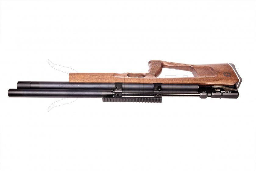 Taipan Veteran Long 5,5mm Beech