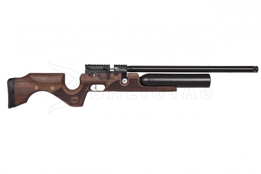 bighorn 01.jpg