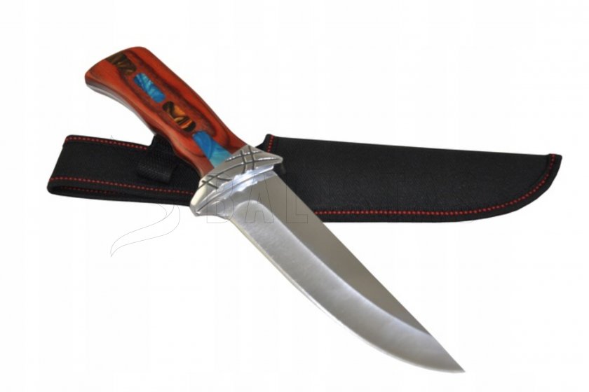 Kandar N295 04.jpg