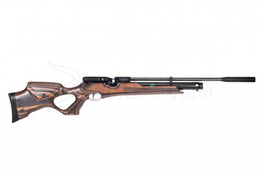 HW 100 T Laminated 02.jpg
