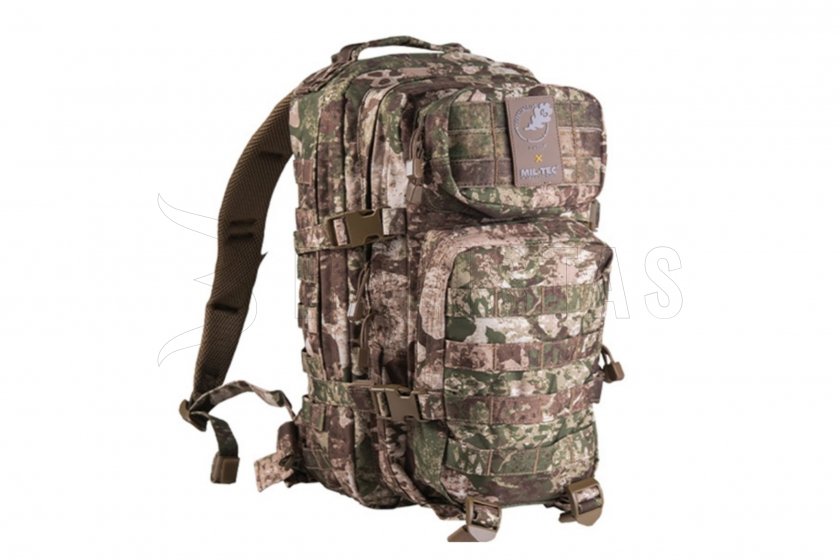 ASSAULT 20l Wasp Z2 01.jpg