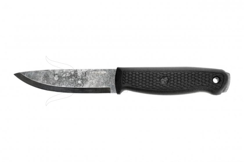 Condor Terrasaur b 01.jpg