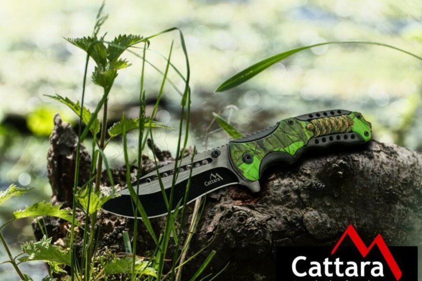 Cattara Jungle 05.jpg