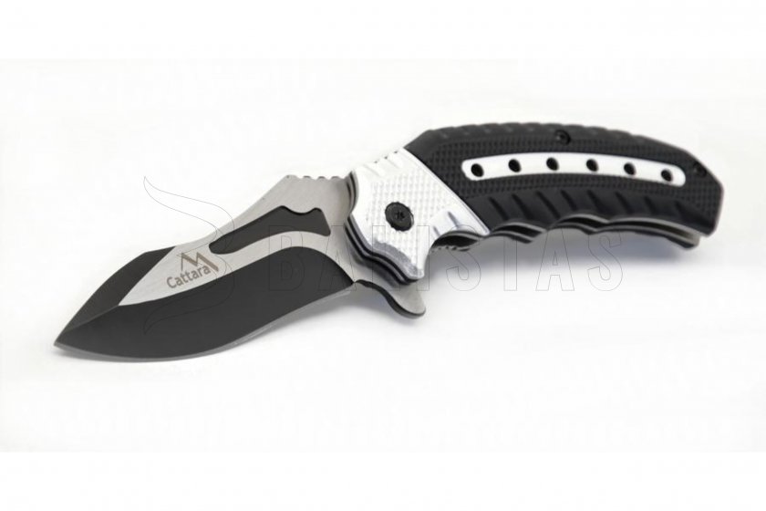 COBRA 05.jpg