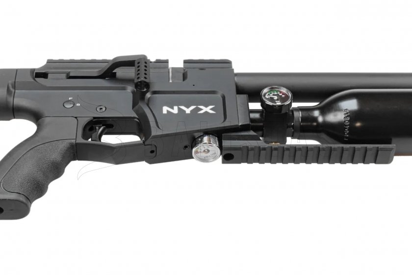 nyx c05.jpg