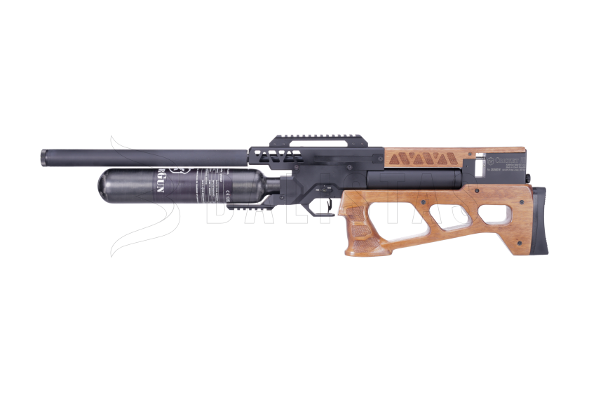 CR360W22 (2).png