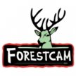 Forestcam